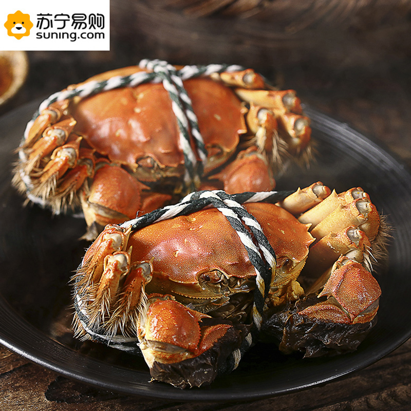 金世尊大闸蟹 688型