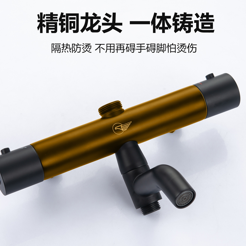 [官方配送]东鹏卫浴(DONG PENG)花洒套装家用精铜淋浴喷头沐浴恒温花洒增压可升降恒温淋浴花洒喷头挂墙式