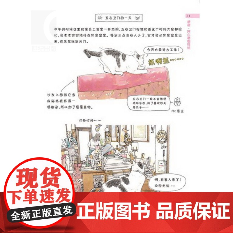 小店里的招牌猫 [日]一志敦子 译者/黄文娟 全彩水彩画美绘本 全世界猫迷五星 养猫咪 正版图书籍 上海译文 世纪出版高清大图