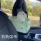 中控狗狗坐车神器汽车狗窝车载安全座椅前排车载坐垫宠物车载狗窝 格子果绿