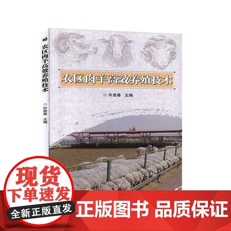 农区肉羊高效养殖技术 许贵善 编 9787511635600 中国农业科学技术出版社高清大图