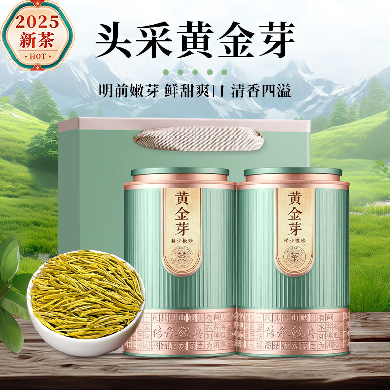 杰盈CCJD-HJY-250g杰盈浙江特产绿茶2025新茶黄金芽2罐装250g 珍稀绿茶茶叶