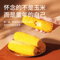 三胖蛋(san pang dan)甜糯玉米新鲜真空包装加热即食黄玉米棒粗粮代餐 228g*9穗礼盒装