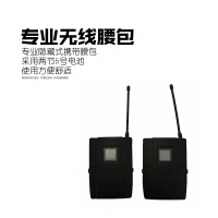 QSA 双通道真分集头戴话筒 KP618