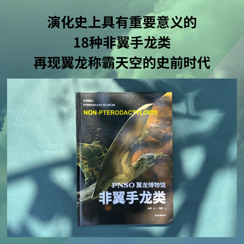 PNSO翼龙博物馆.翼手龙+非翼手类 [正版]PNSO翼龙博物馆:翼手龙+非翼手类 史前年代 翼龙争霸天空 儿童科普 实