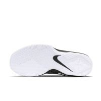 Nike/耐克 男子 运动鞋外场实战篮球鞋AO7892-010