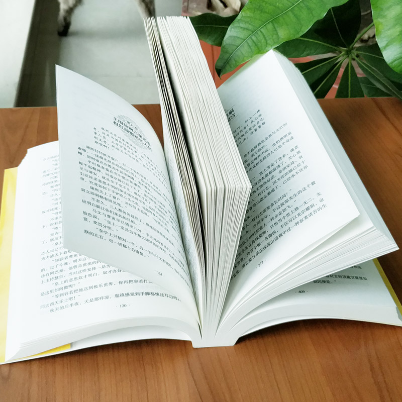 [正版]大清十二帝 努尔哈赤传全传长篇历史小说中清朝历代皇帝皇上清朝历史书中国通史记历史知识历史人物中国古代宫廷秘史清朝高清大图