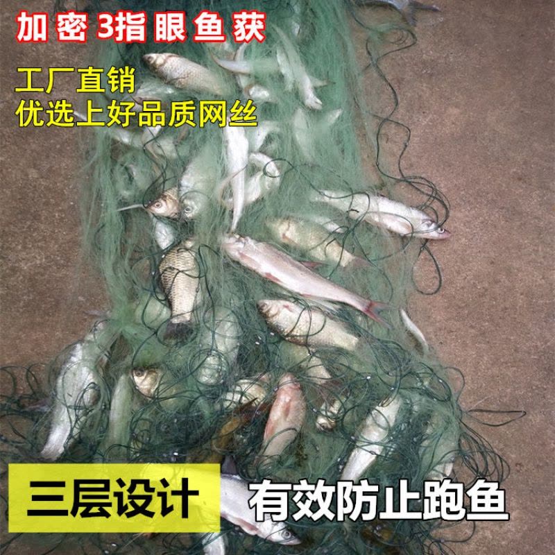 [优先发货]鱼网粘网三层渔网丝网挂网拦河工具渔具沾网粘鱼网网鱼网图片