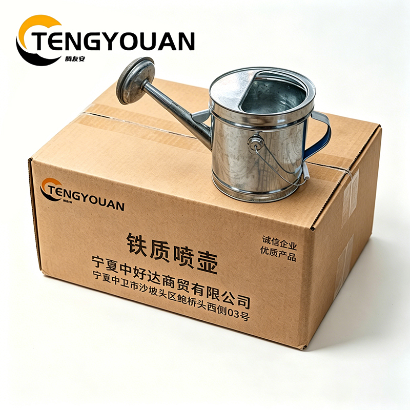 腾友安/ 铁质喷壶 10L/个高清大图