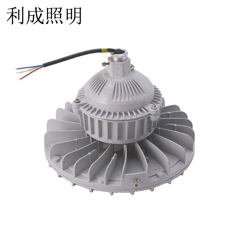 利成照明 LED防爆灯 LC1220-100W高清大图