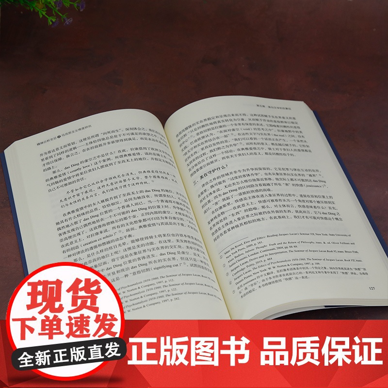 [正版新书]精神分析文论之马克思主义维度研究 赵淳 西方文论高清大图