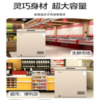 星星冷柜BD/BC-205A