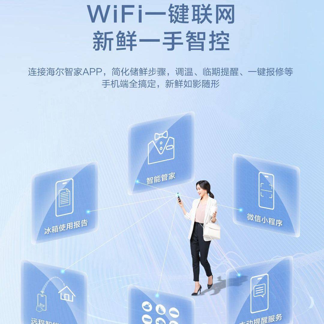 海尔十字对开门冰箱 BCD-521WLHTD2BGWU1 星光灰 521升 1级能效 变频控温 干湿分储 自动除霜高清大图