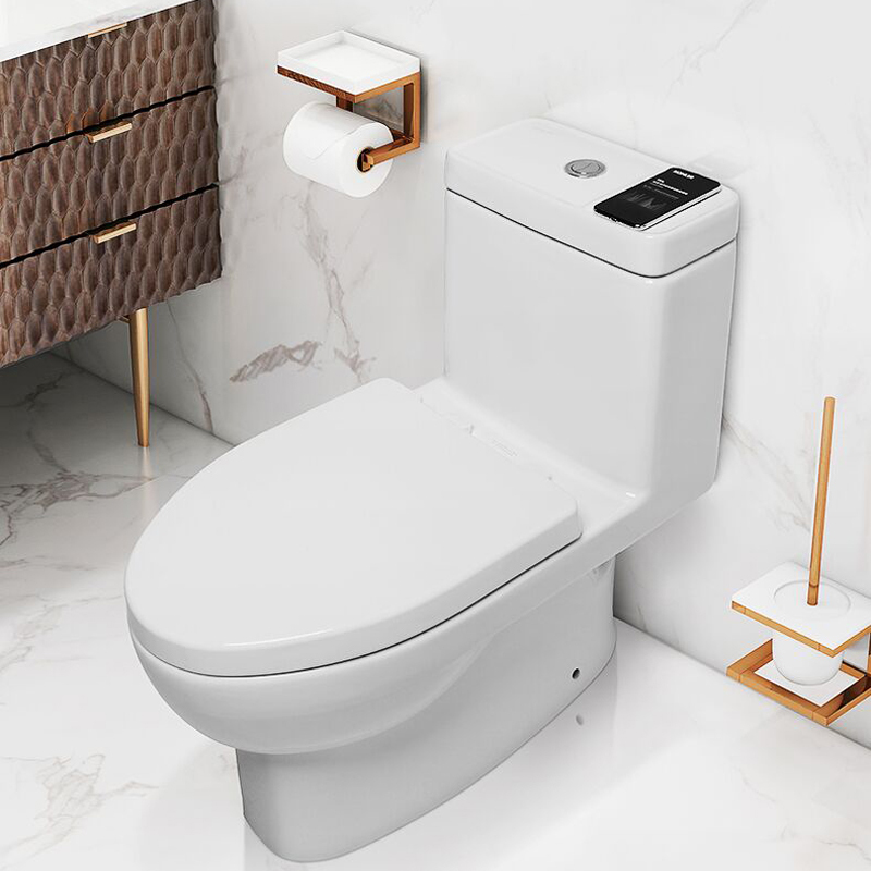 科勒马桶五级旋风节水连体座便器家用双冲坐便器28866