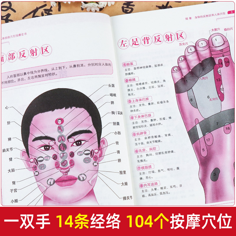 [正版]人体经络穴位按摩全书 日常养生按摩保健原理基本手法工具书 多种常见病对症穴位中医按摩疗法高清大图