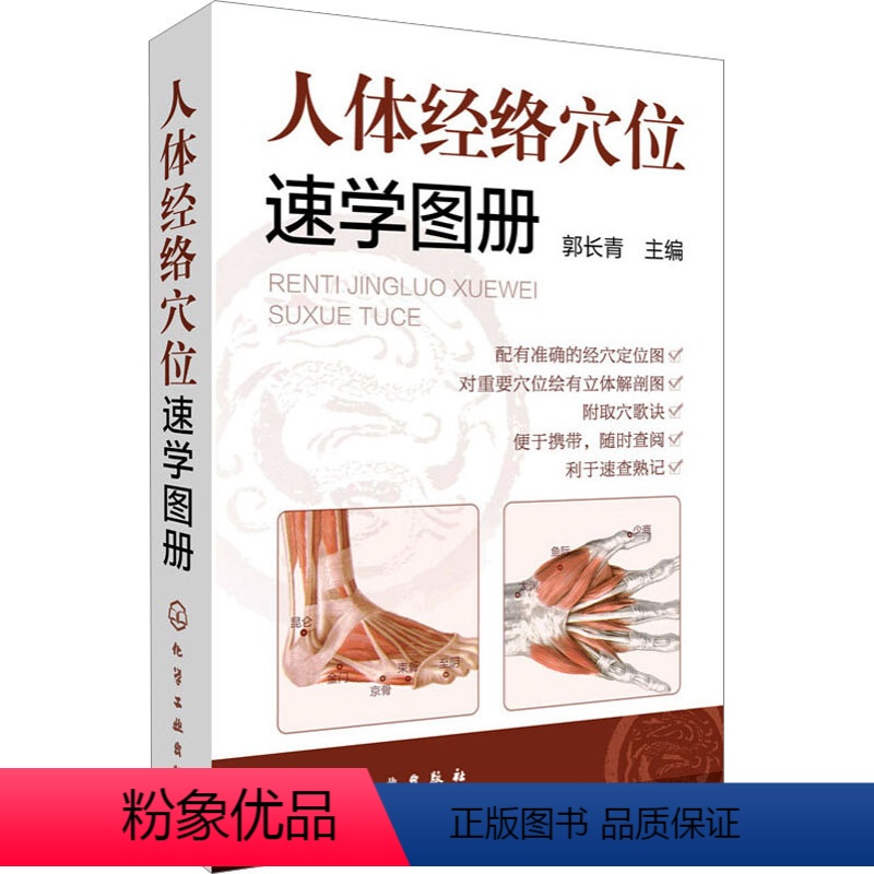[正版]人体经络穴位速学画册 书籍 书店 化学工业出版社高清大图