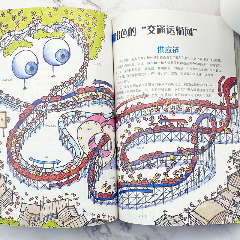 自然百科 [正版] 全景百科全书大全7册 全景生物+人体奥秘百科+动物百科+科学百科+武器百科+恐龙百科+自然百科 科普