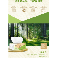 清风 抽纸 原木纯品二层 200抽*24包小规格(短幅 )抽取式卫生纸巾餐巾擦手