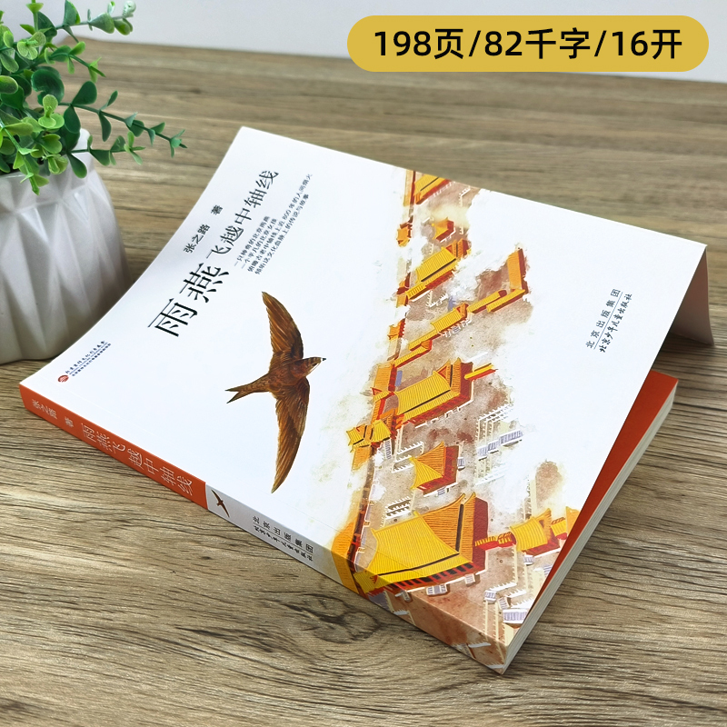 陈土豆的红灯笼 [正版]雨燕飞越中轴线 张之路著 四年级百班千人祖庆说大阅小森 小学生课外书阅读书籍飞跃飞过 北京少年儿