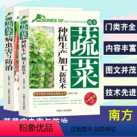 [正版]南方蔬菜种植生产加工新技术+病虫害与防治新农村新技术致富金钥匙丛书专家权威版蔬菜育苗主要蔬菜病虫害防治农药使用