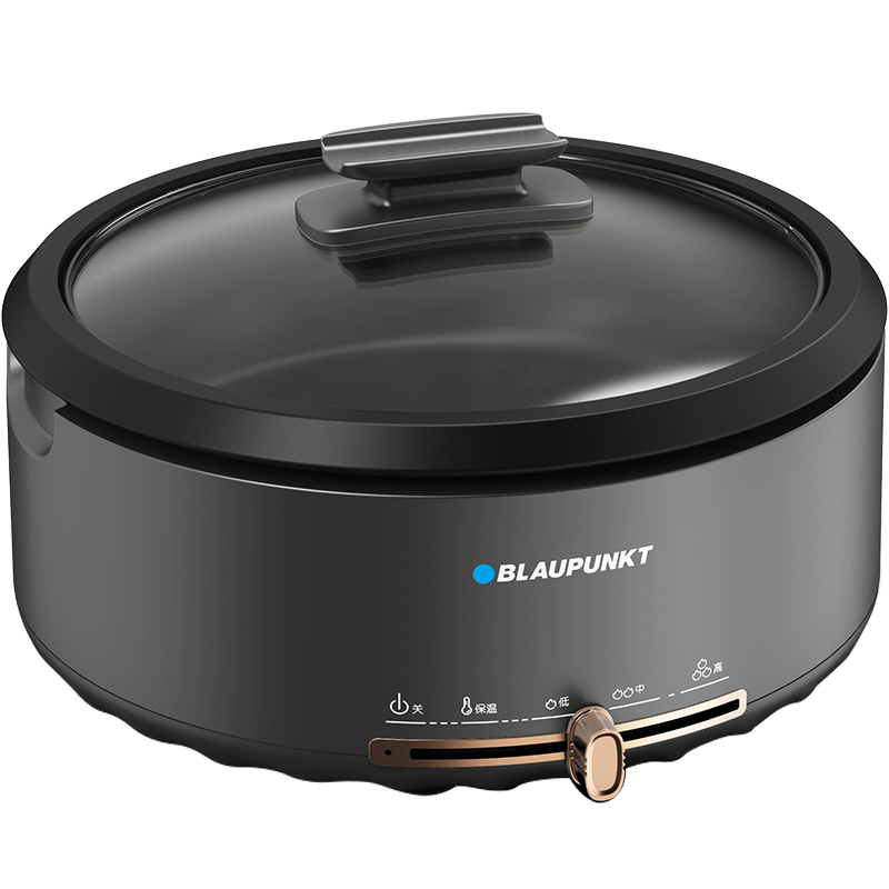 蓝宝(BLAUPUNKT) 分体式火锅(4L)BP-DHG135高清大图