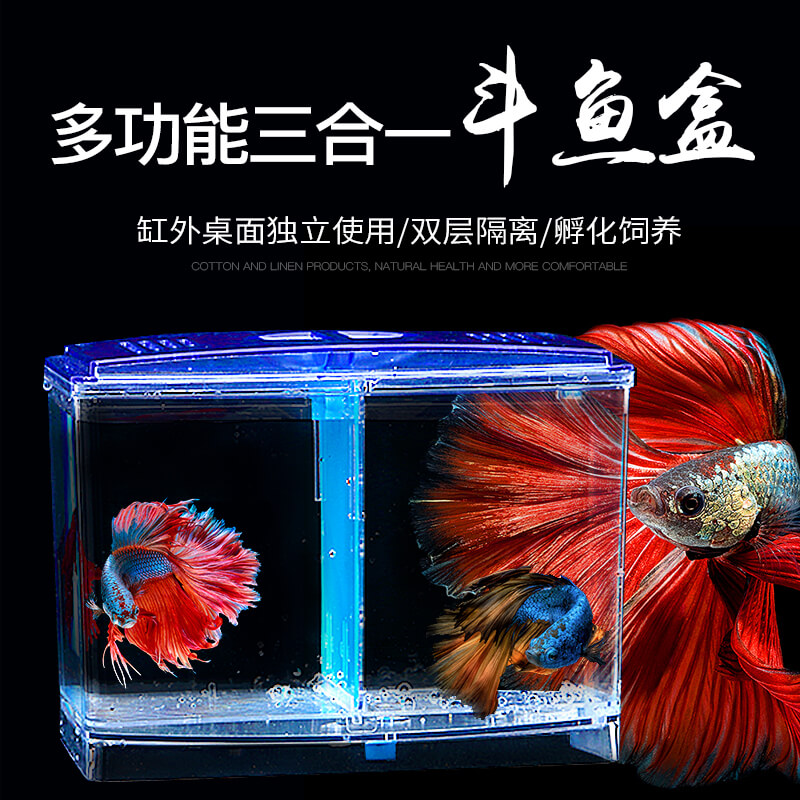 隔离盒孵化盒观赏鱼孔雀鱼斗鱼缸外饲养多功能繁殖亚克力悬浮高清大图