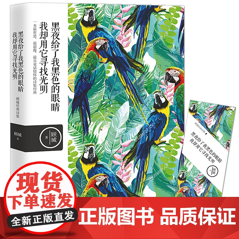 名诗名画系列《黑夜给了我黑色的眼睛,我却用它寻找光明》 ——顾城经典诗集