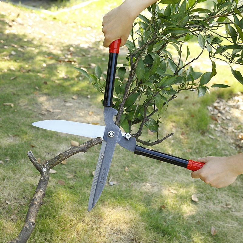 进口绿篱剪草坪剪园林修枝剪园艺大剪刀绿化粗枝果树枝工具