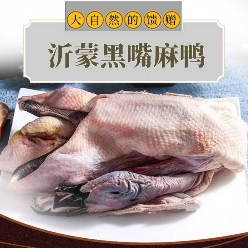 清美精选家禽组合458型B高清大图