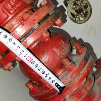 艾克心 止回阀长 135mm DN100 碳钢材质 PN16 定制件（单位：个）货期7天