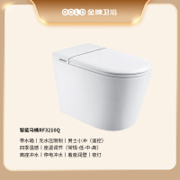 金牌卫浴GOLD R11Q无水压轻智能马桶 四季温感座温KA(含安装)RF3210Q(300坑距)