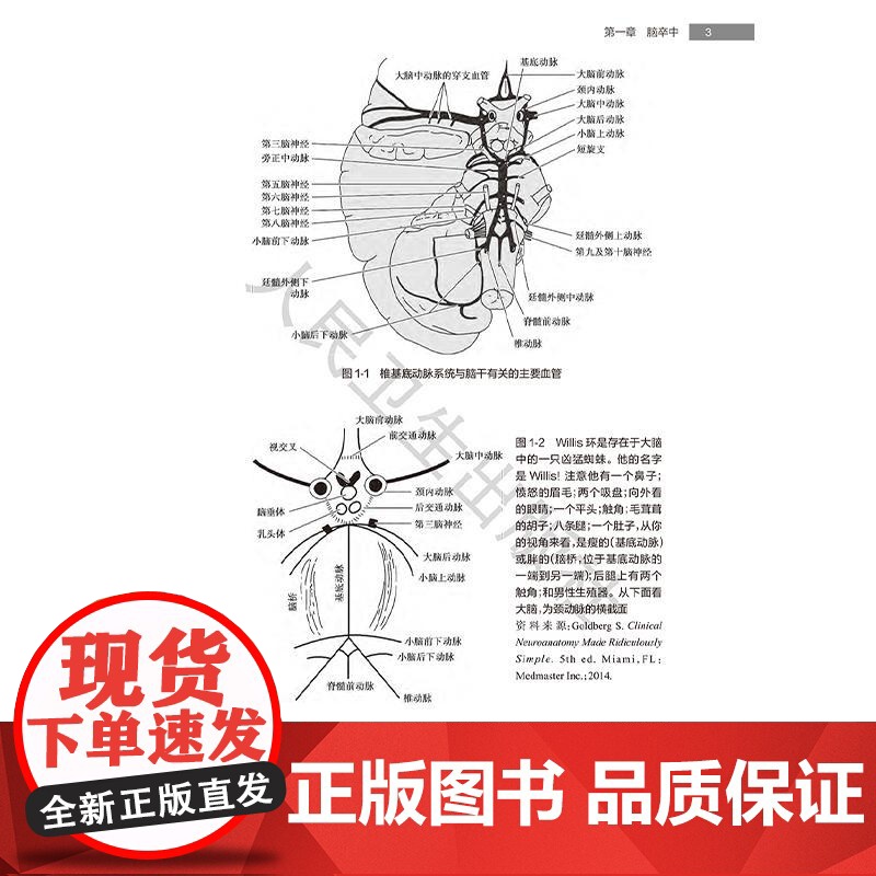 康复医师进阶精要 第4版 毕胜 敖丽娟 何成奇 汇集了PM&R认证考试中最新的骨科神经科以及综合医疗信息于一体的著作人民高清大图