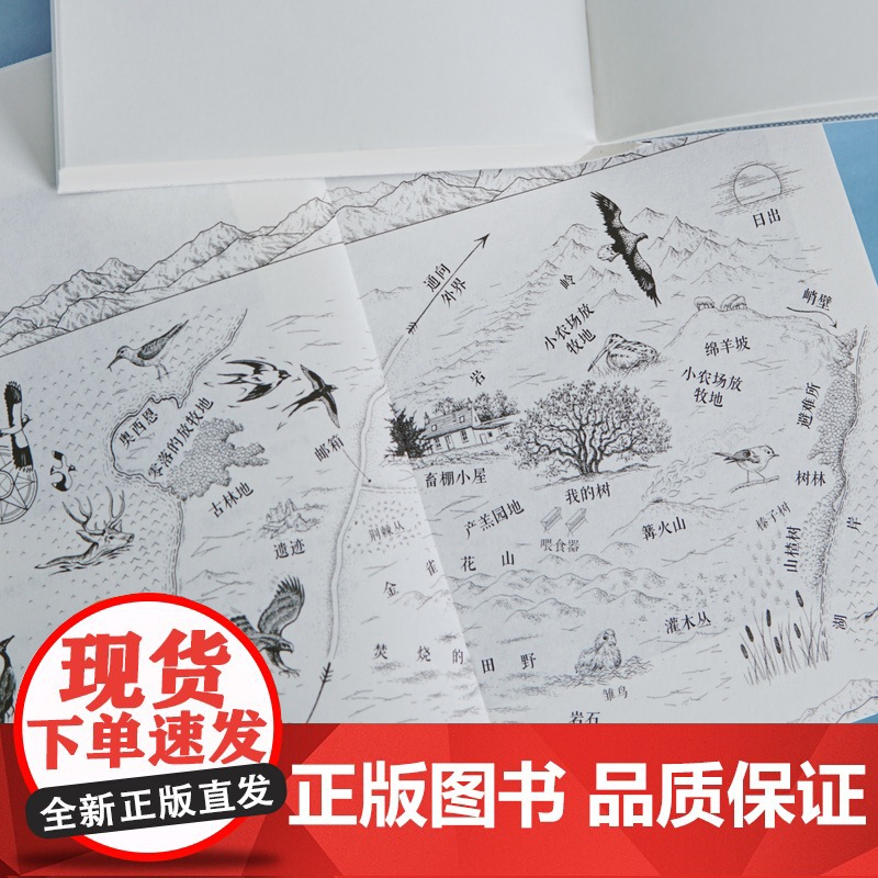 新华正版预售 我是一座岛 [英] 塔姆辛·卡利达斯 我们WoMen系列 治愈 自然文学 逃离 城市 寻找自我 随笔 散文高清大图