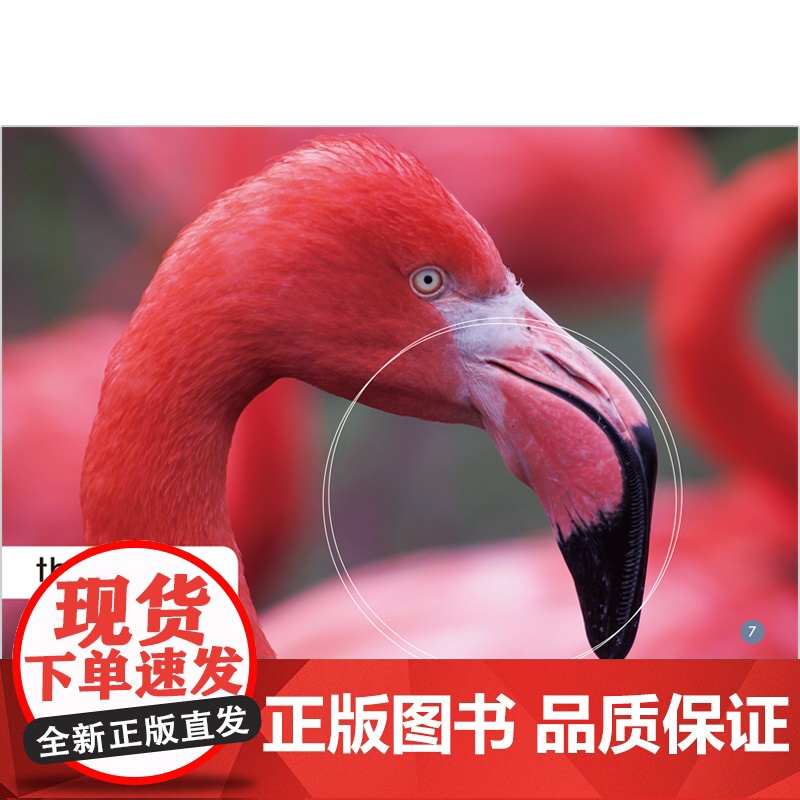 [外研社]多维阅读预备级上高清大图