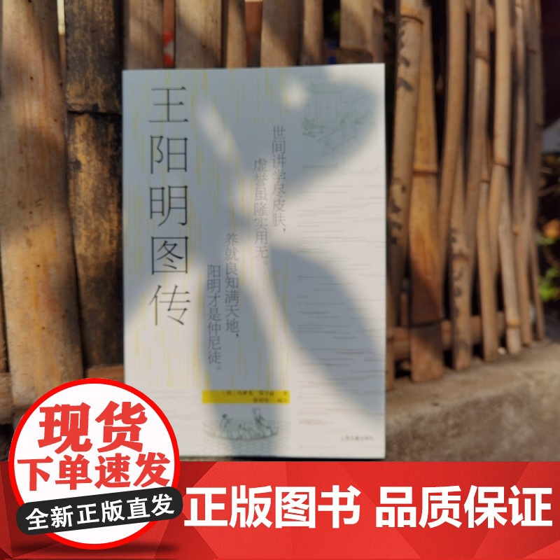 王阳明图传 冯梦龙邹守益明人传记年谱明代手绘插图陈来董平王阳明传记小说传奇故事哲学思想全新注释本上海古籍出版社正版高清大图