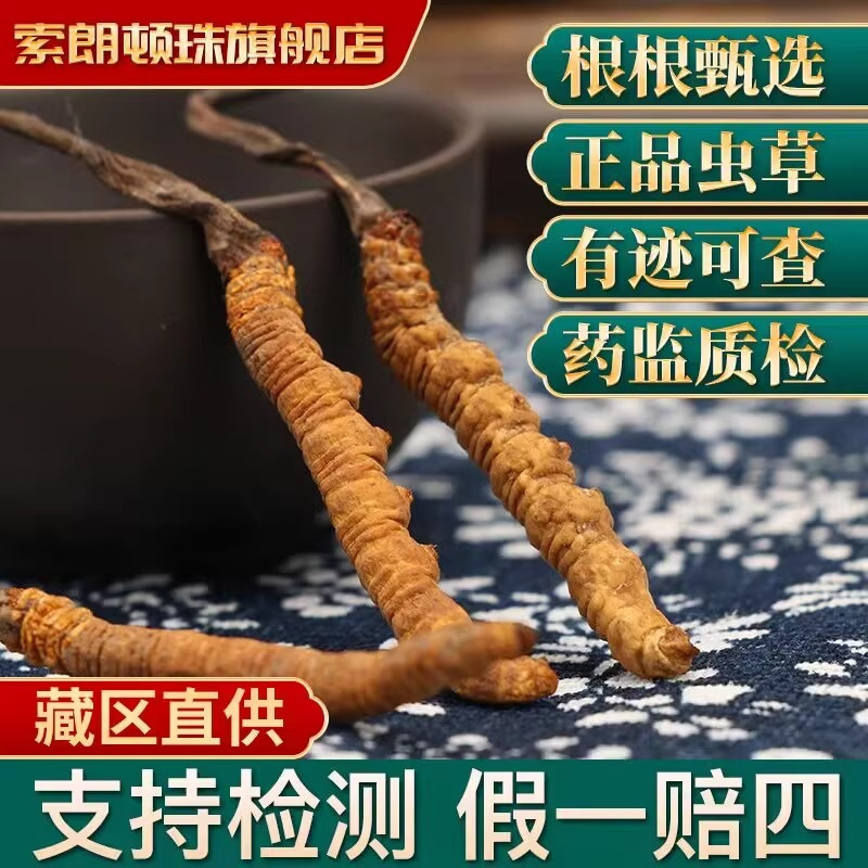 索朗顿珠冬虫夏草3根/克(15根5克)简易装头期正品干草礼盒装