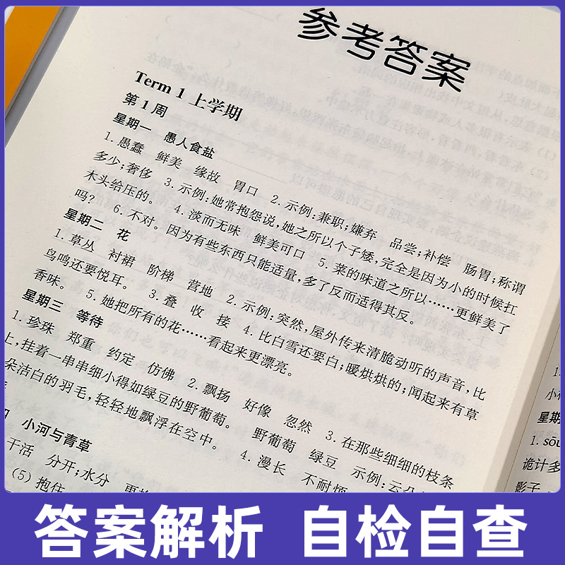 小学语文基础知识 小学三年级 [正版]Y周计划小学数学应用计算强化训练语文基础知识阅读强化训练英语听力阅读强化训练一二三