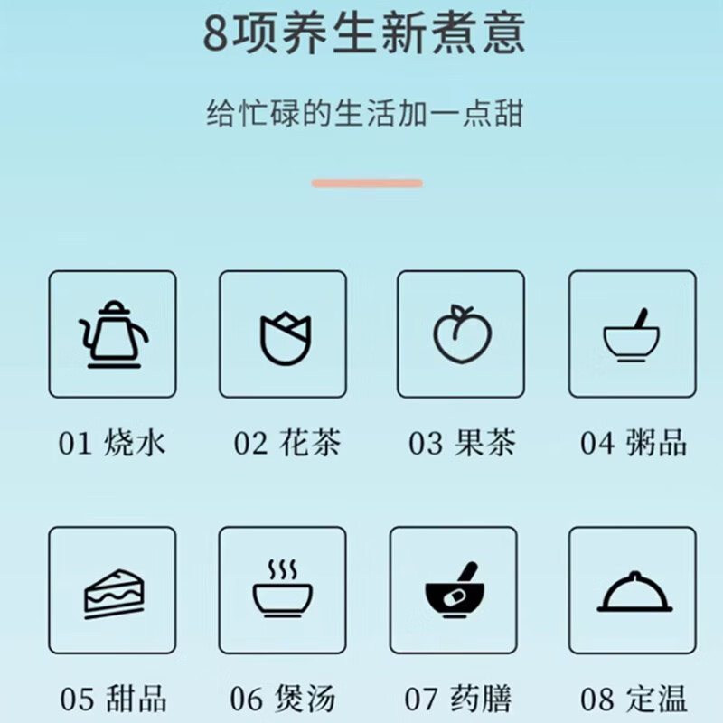 蓝宝(BLAUPUNKT)家用迷你养生壶 办公室煮茶器烧水壶恒温茶壶BP-YS15