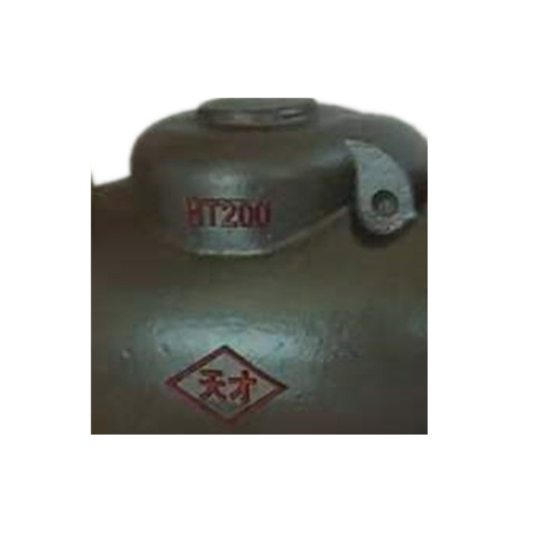 天才 法兰止回阀 DN100