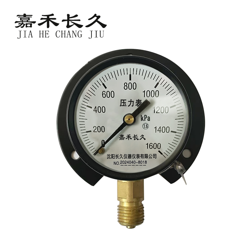 嘉禾长久 风表压力表径向带边 Y100T 0-1000KPA 块 Y100T，0-1600KPA