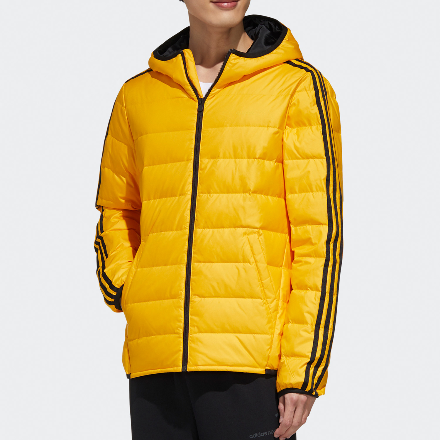 阿迪达斯adidas neo 男装运动羽绒服GJ8787