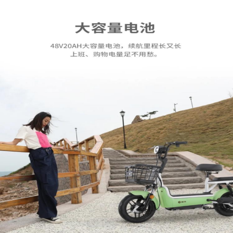 爱玛开心豆系列48V20ah