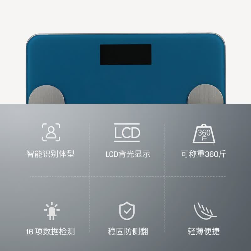 (顺丰发货)西屋体脂秤T201高清大图