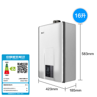 林内（Rinnai） 燃气热水器 即享系列 智能预约 0冷水 水量伺服器（天然气）E65强排式16升JSQ32-R65A