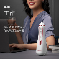 洁碧(Waterpik)冲牙器便携式水牙线洗牙器牙齿冲洗器家用冲牙器多喷头 正畸适用手持式小蛮腰 玫瑰金 GS9-14