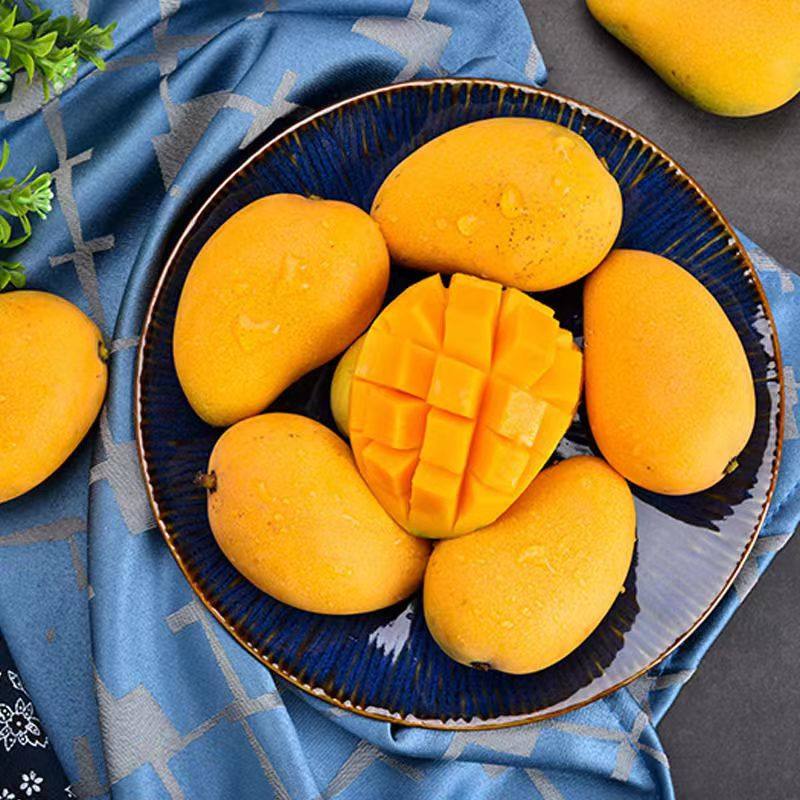 [熊猫鸟]海南小台芒 净重3斤 大果 单果100g+ 芒果新鲜水果应当季树上熟整箱现摘甜心芒高清大图