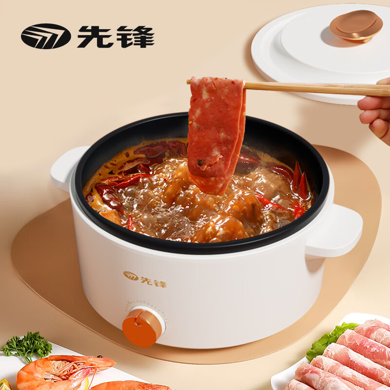 多功能电热锅(电火锅) DRG-D2501