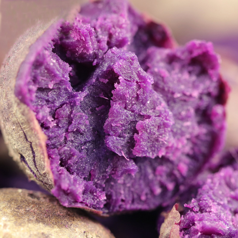 [店长力荐]山东新鲜紫薯中果5斤装 蜜薯香薯地瓜紫芋头 紫罗兰紫薯 新鲜地瓜水果蔬菜 软糯香甜 营养丰富 星优选