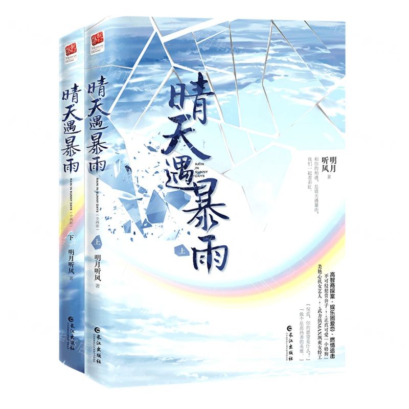 [N]晴天遇暴雨(上下)-9787549280346高清大图