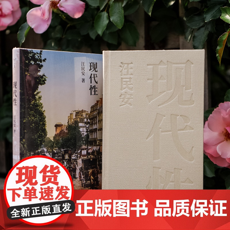 现代性 汪民安 著 社会科学高清大图